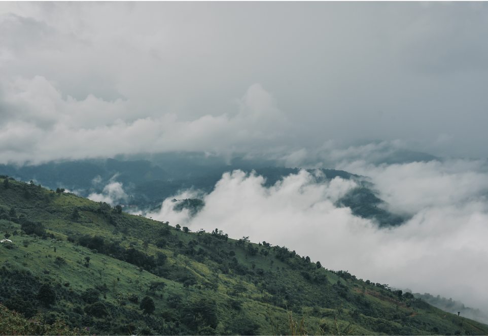 รูปภาพเสริม