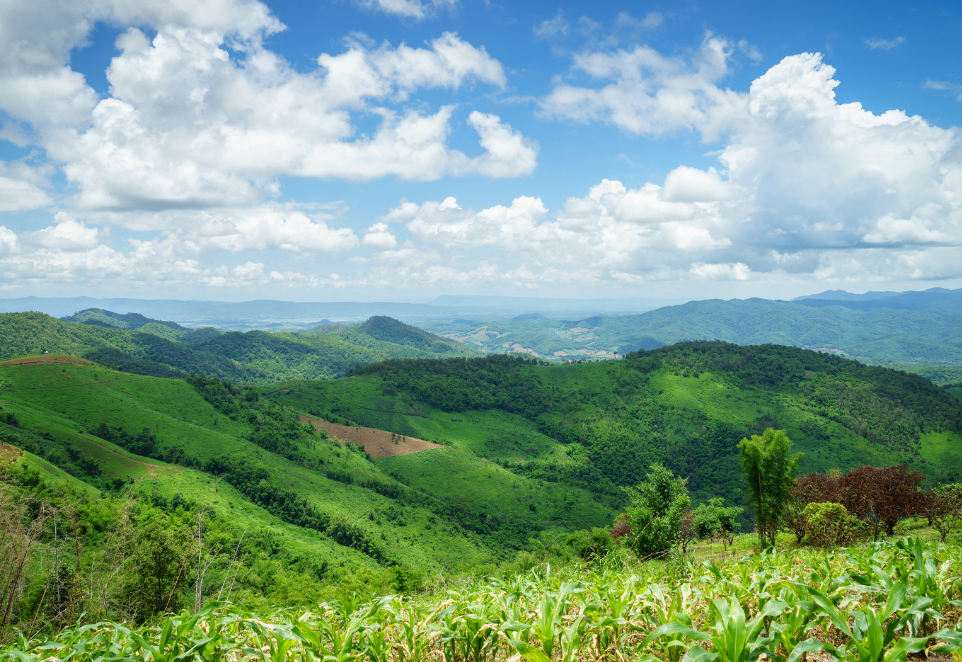 รูปภาพเสริม